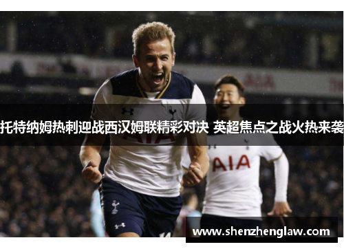 托特纳姆热刺迎战西汉姆联精彩对决 英超焦点之战火热来袭